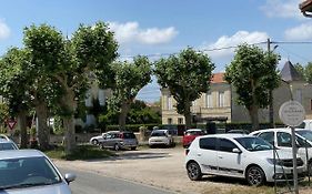 Charmant 2 pièces au cœur des vignes
